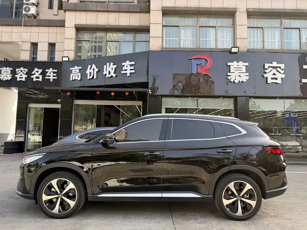 BYD PLUS New Energy 2023 из CN, фото 3