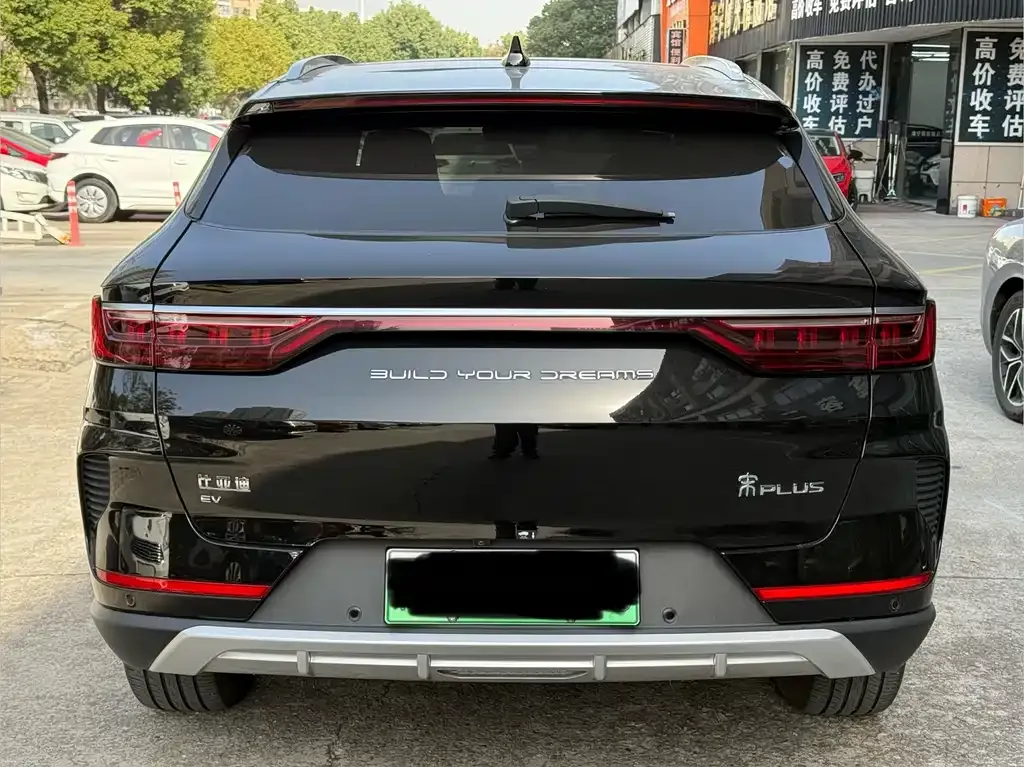 BYD PLUS New Energy 2023 из CN, фото 4