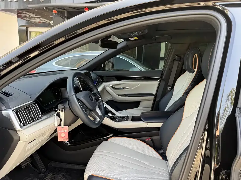 BYD PLUS New Energy 2023 из CN, фото 6
