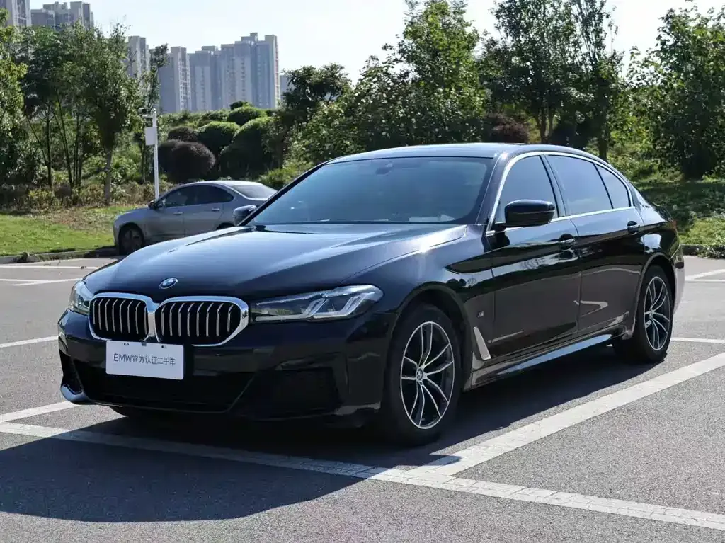 BMW 5 Series 2022 из CN, фото 1