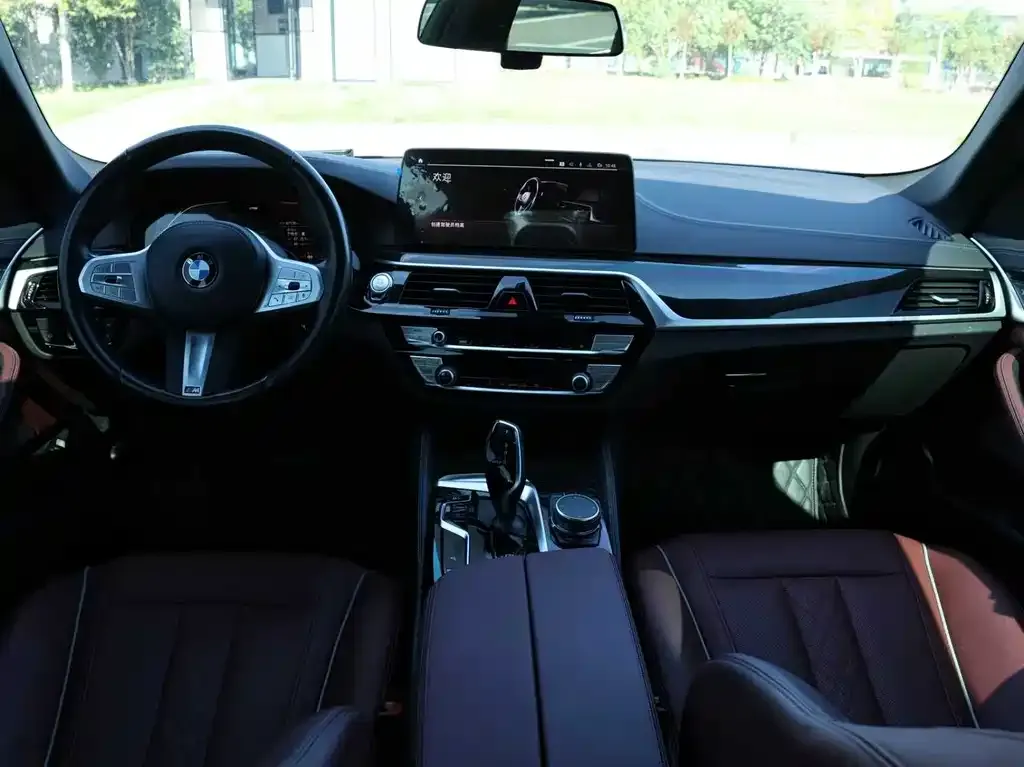 BMW 5 Series 2022 из CN, фото 10