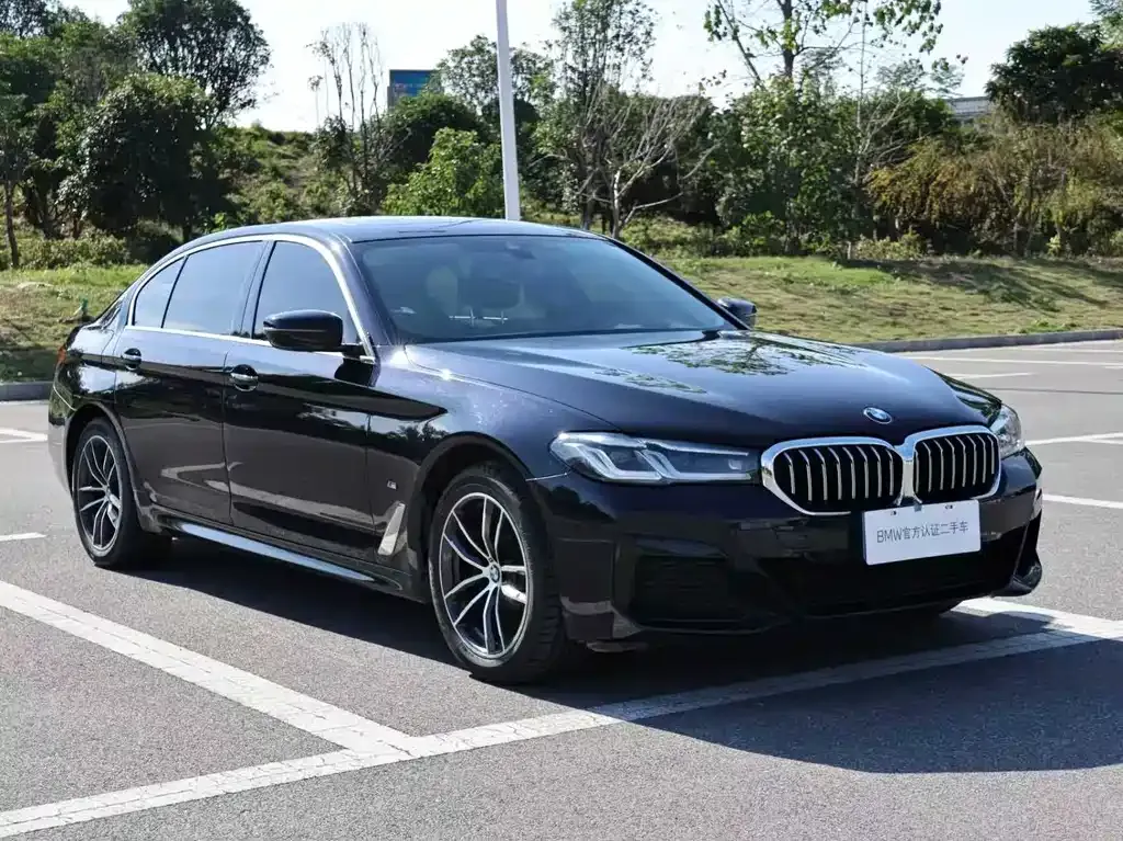 BMW 5 Series 2022 из CN, фото 3