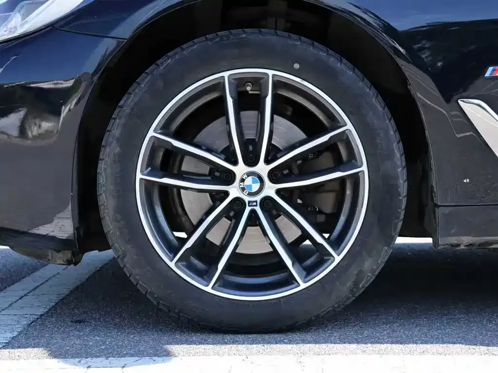 BMW 5 Series 2022 из CN, фото 4