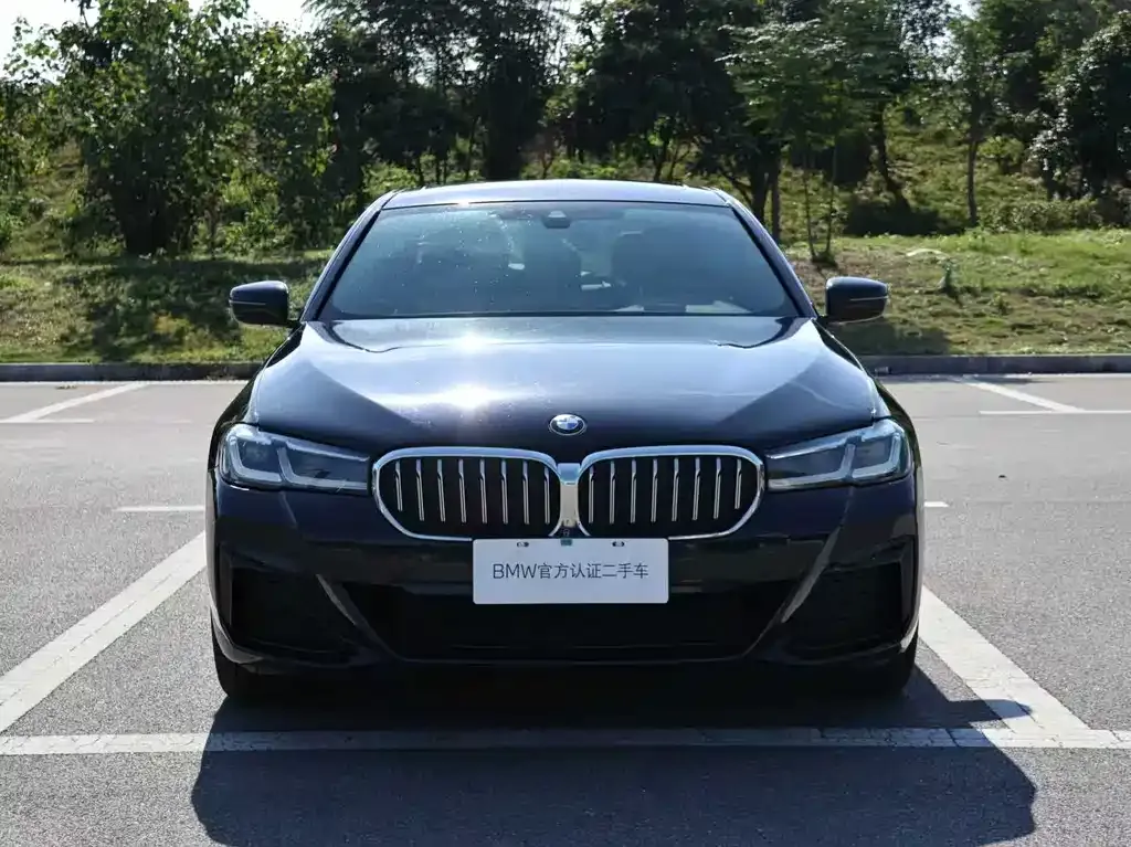 BMW 5 Series 2022 из CN, фото 5