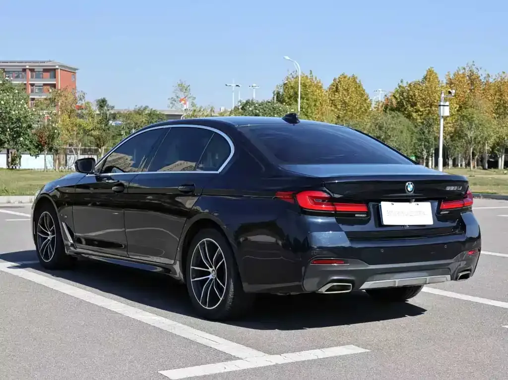 BMW 5 Series 2022 из CN, фото 6