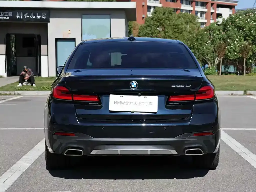 BMW 5 Series 2022 из CN, фото 7