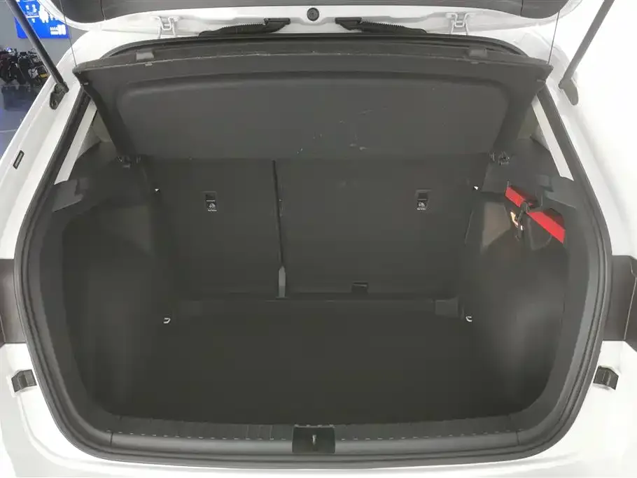Volkswagen Tharu 2021 из CN, фото 4