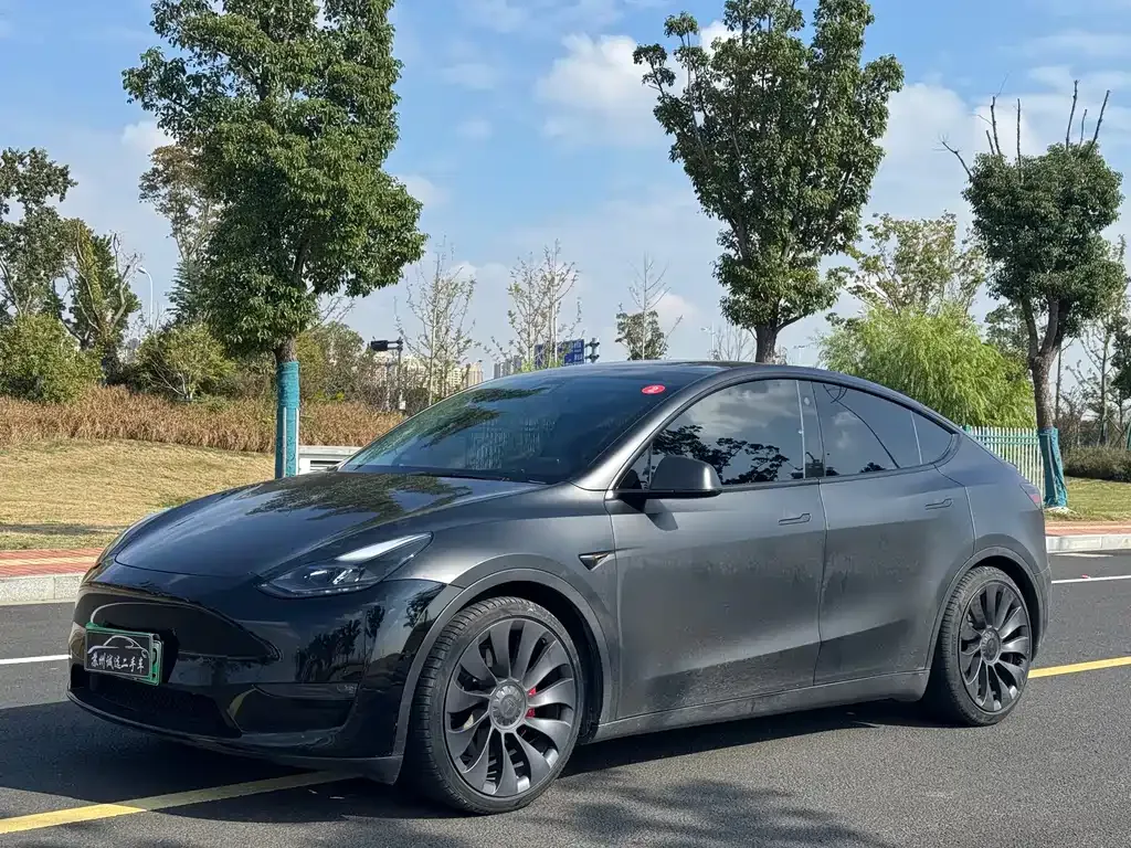 Tesla Model Y 2022 из CN, фото 1