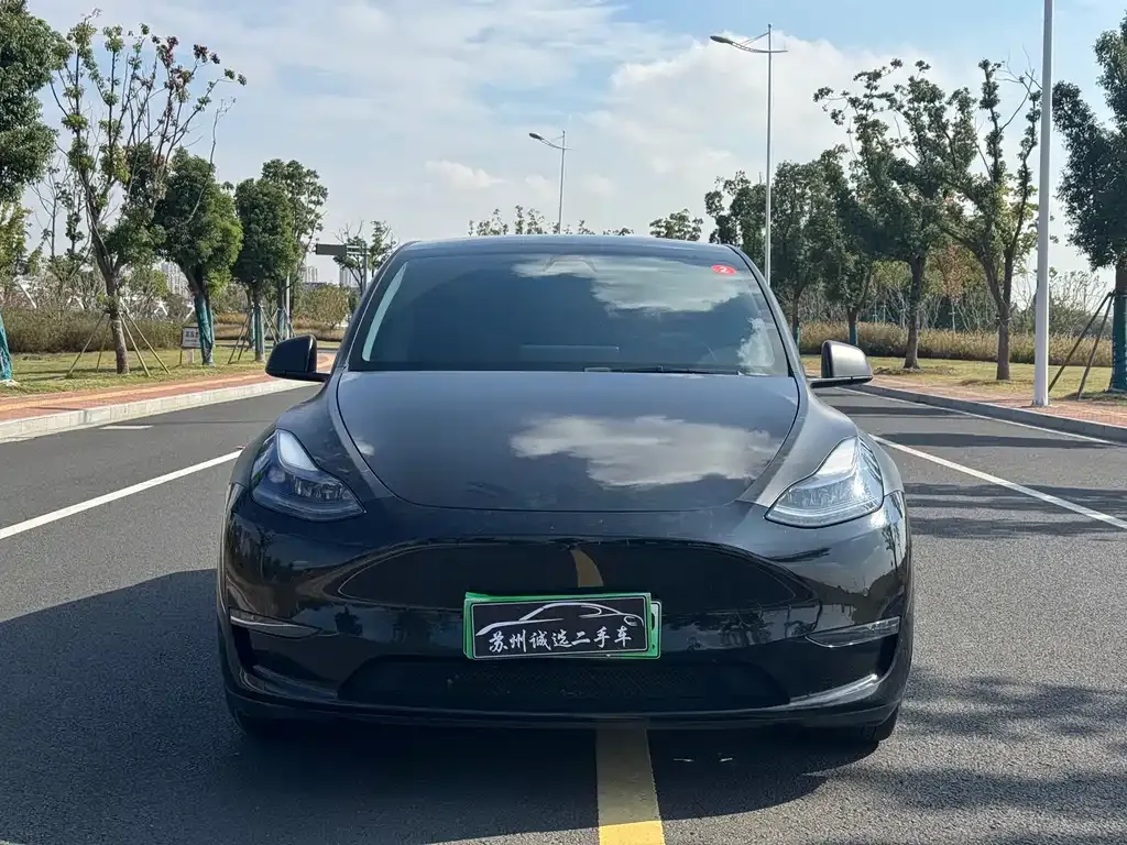 Tesla Model Y 2022 из CN, фото 2