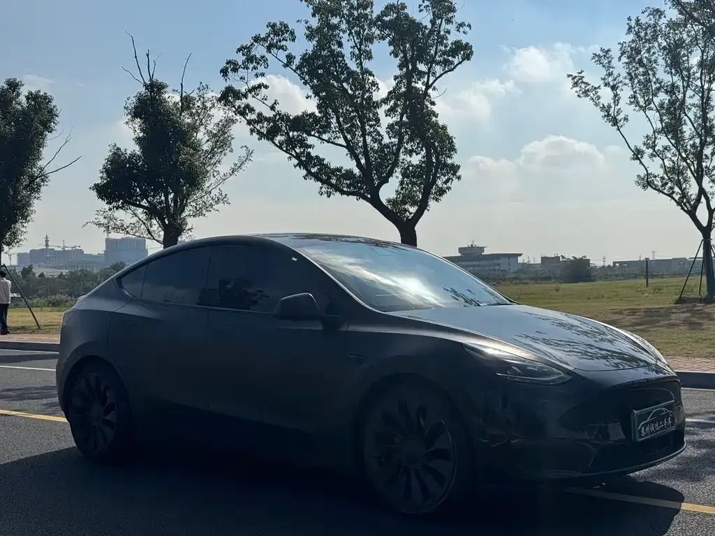 Tesla Model Y 2022 из CN, фото 3