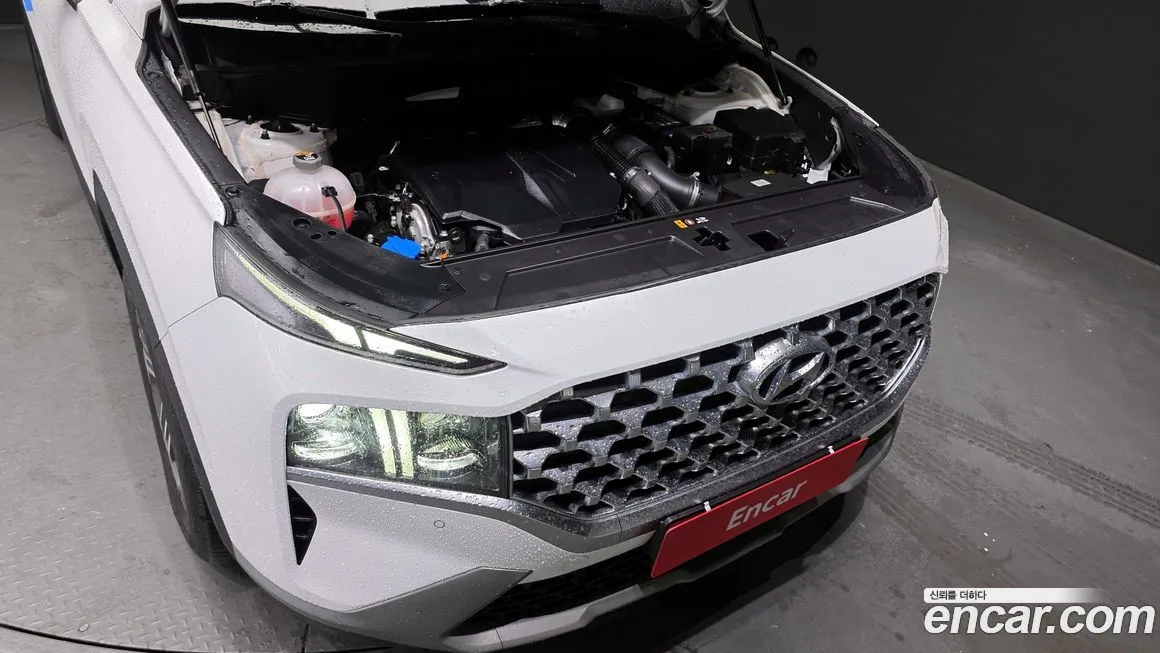 Hyundai Santafe 2021 из KR, фото 6