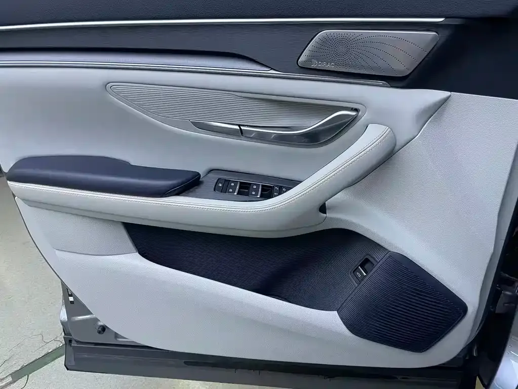 BYD PLUS New Energy 2022 из CN, фото 10