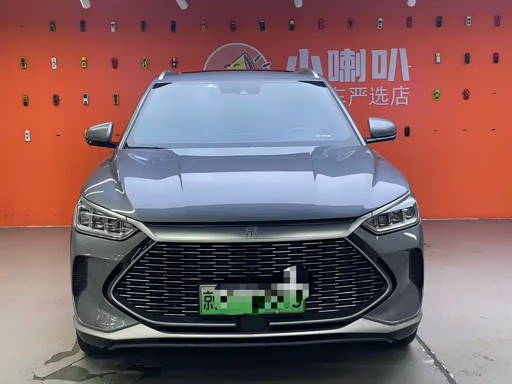 BYD PLUS New Energy 2022 из CN, фото 2