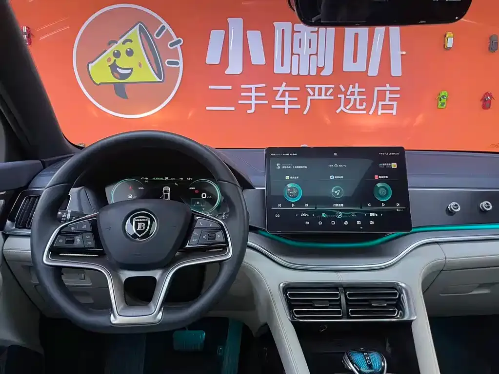 BYD PLUS New Energy 2022 из CN, фото 8