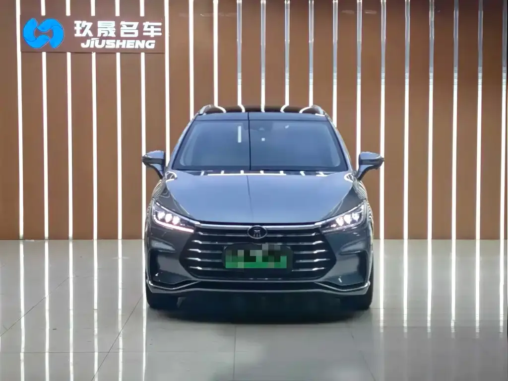 BYD MAX New Energy — фото 2