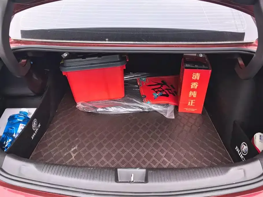 Buick Regal 2023 из CN, фото 4