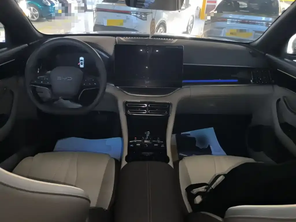 BYD PLUS New Energy — фото 10