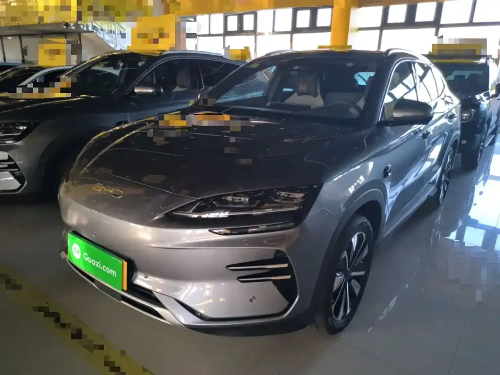 BYD PLUS New Energy — фото 2