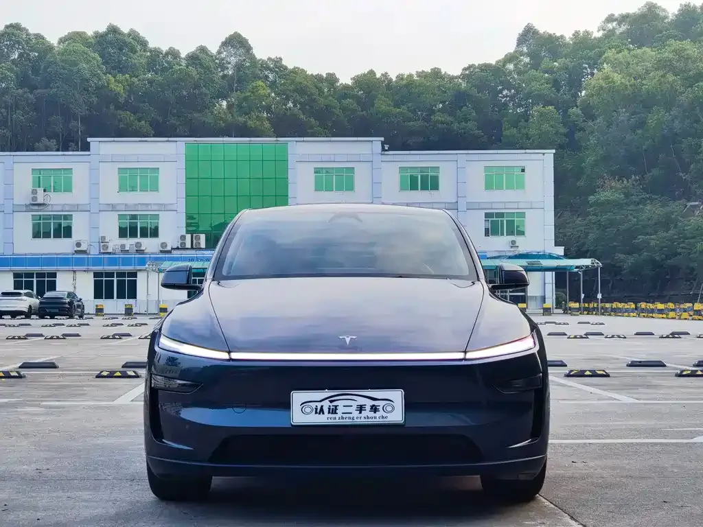 Tesla Model Y 2025 из CN, фото 2