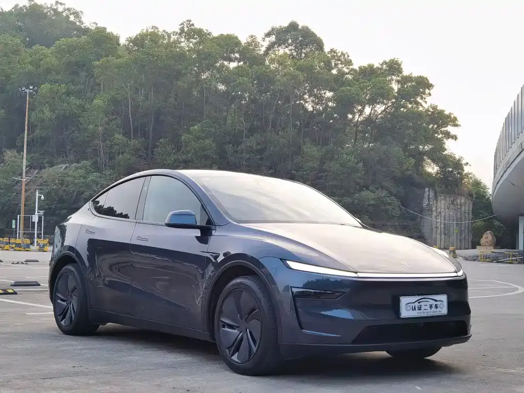 Tesla Model Y 2025 из CN, фото 3