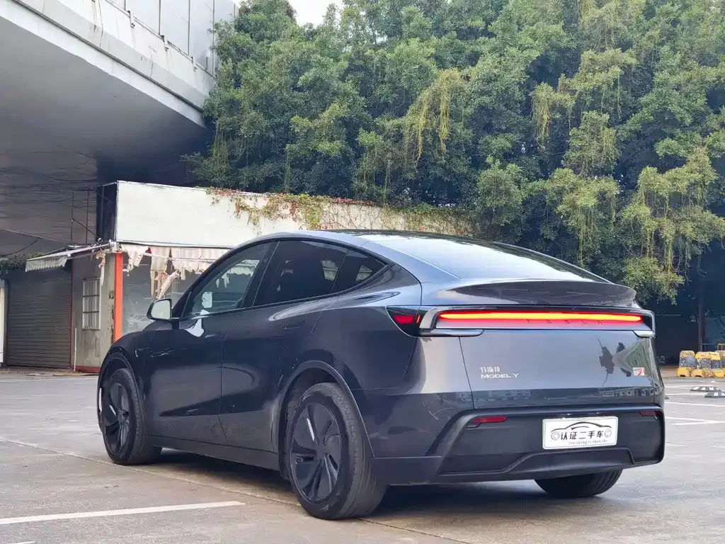 Tesla Model Y 2025 из CN, фото 9