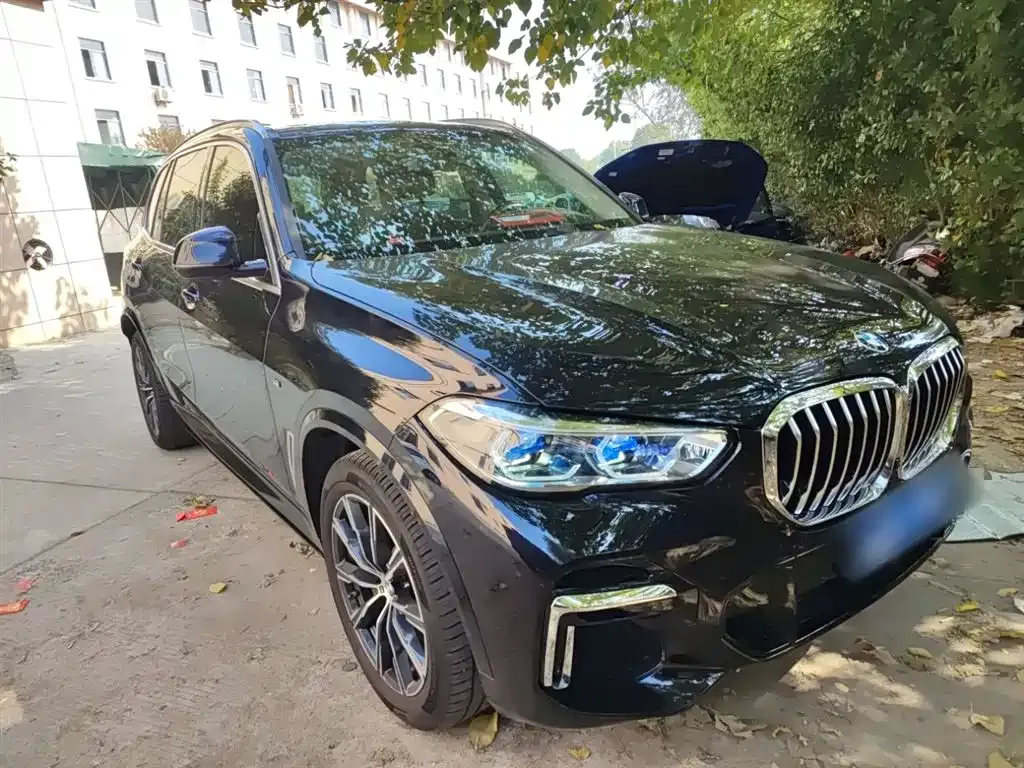 BMW X5 2023 из CN, фото 4