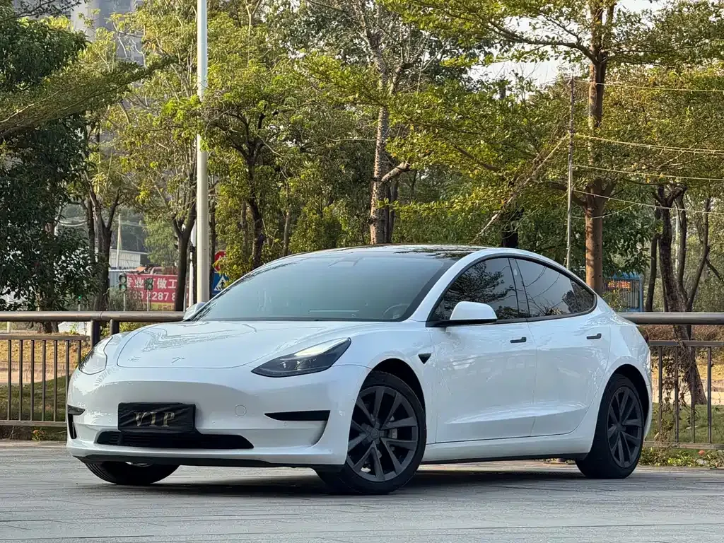Tesla Model 3 2023 из CN, фото 1
