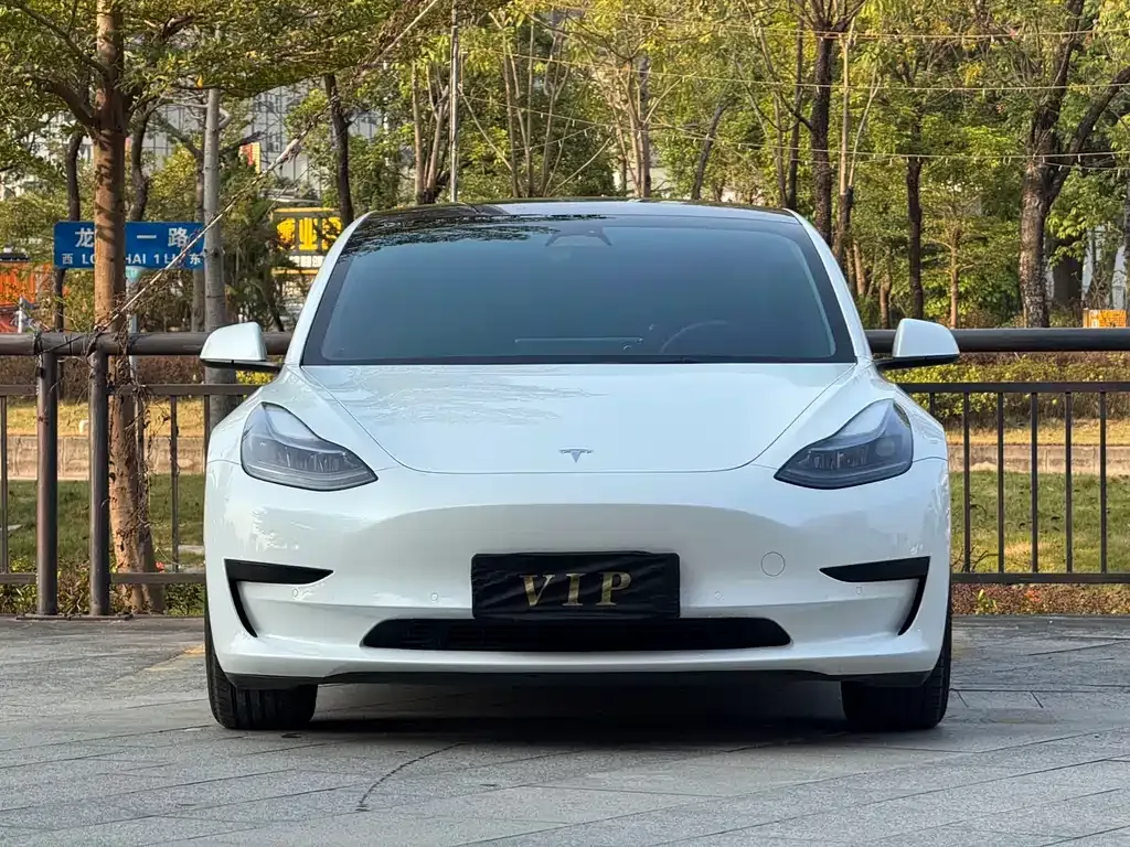 Tesla Model 3 2023 из CN, фото 2