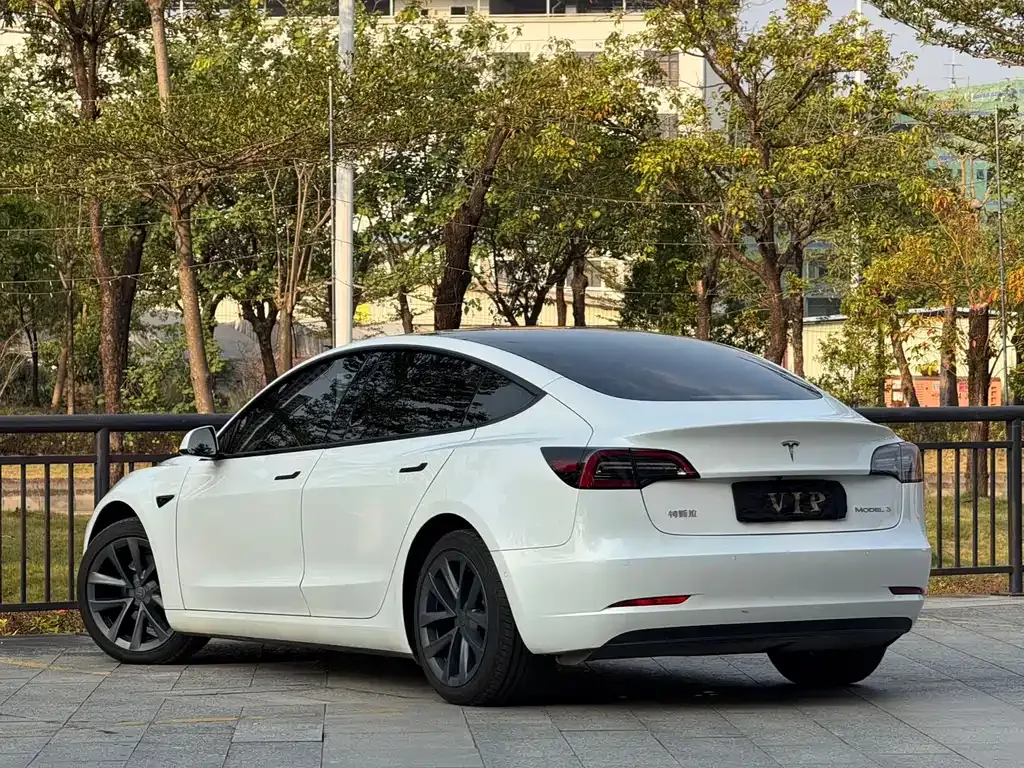 Tesla Model 3 2023 из CN, фото 4