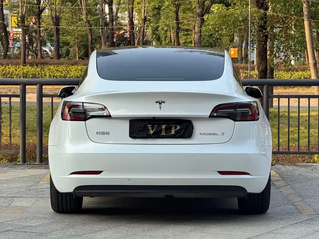 Tesla Model 3 2023 из CN, фото 5