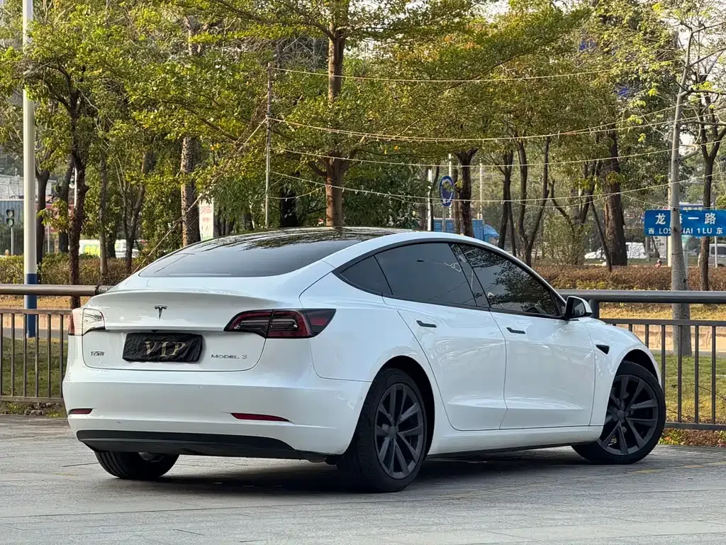 Tesla Model 3 2023 из CN, фото 6