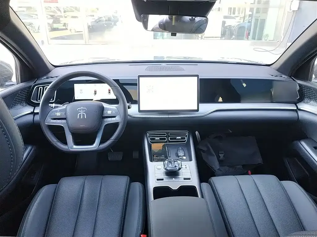BYD Pro New Energy 2025 из CN, фото 10