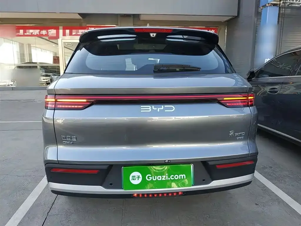 BYD Pro New Energy 2025 из CN, фото 6