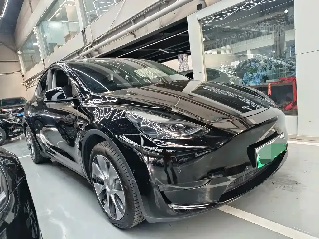 Tesla Model Y — фото 3