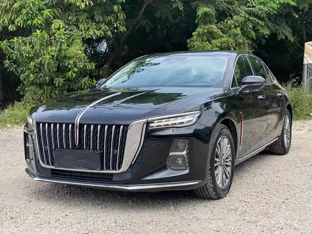 Hongqi H5 2023 из CN, фото 1
