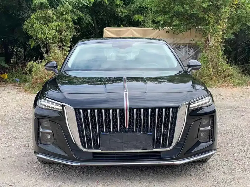 Hongqi H5 2023 из CN, фото 2