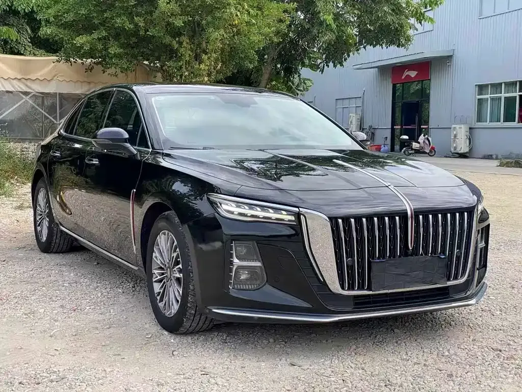 Hongqi H5 2023 из CN, фото 3