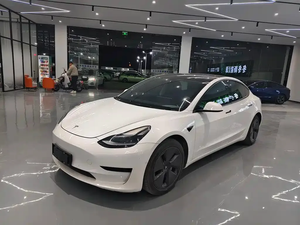 Tesla Model 3 2021 из CN, фото 1