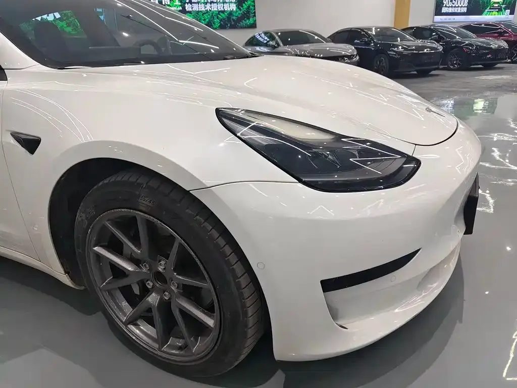 Tesla Model 3 2021 из CN, фото 10
