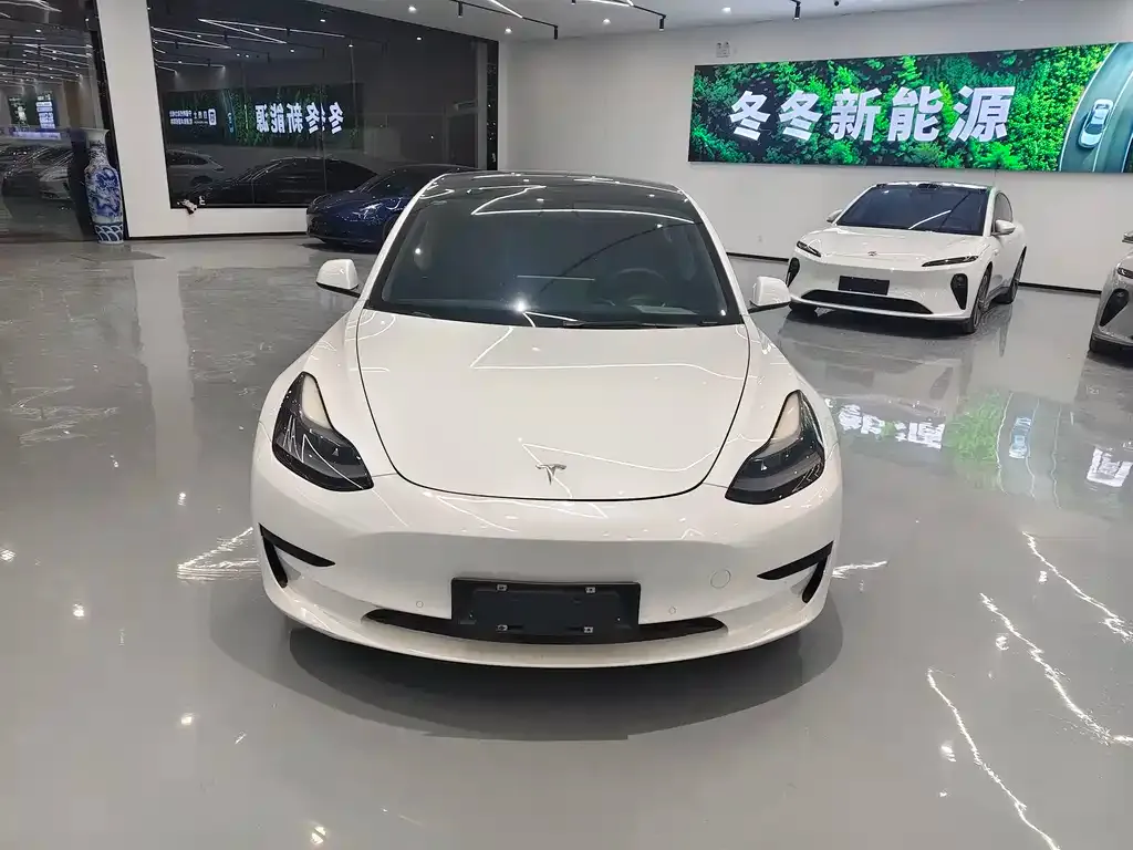 Tesla Model 3 2021 из CN, фото 2