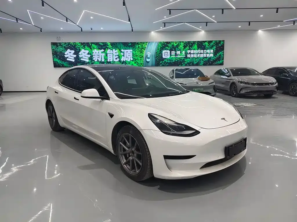 Tesla Model 3 2021 из CN, фото 3