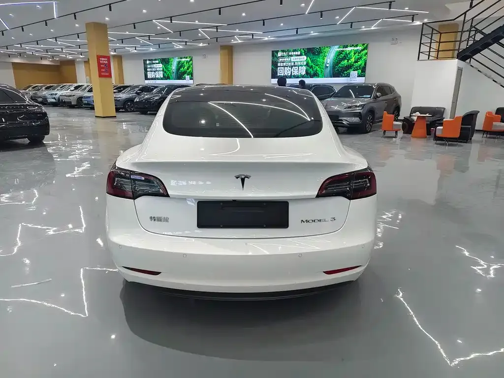 Tesla Model 3 2021 из CN, фото 4