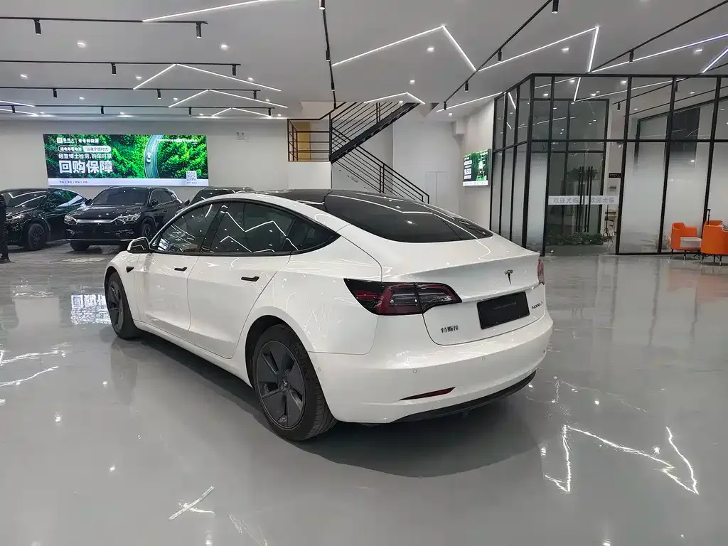 Tesla Model 3 2021 из CN, фото 5