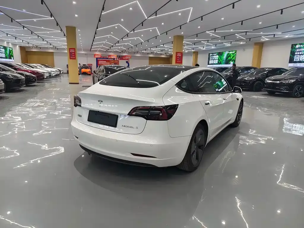 Tesla Model 3 2021 из CN, фото 6