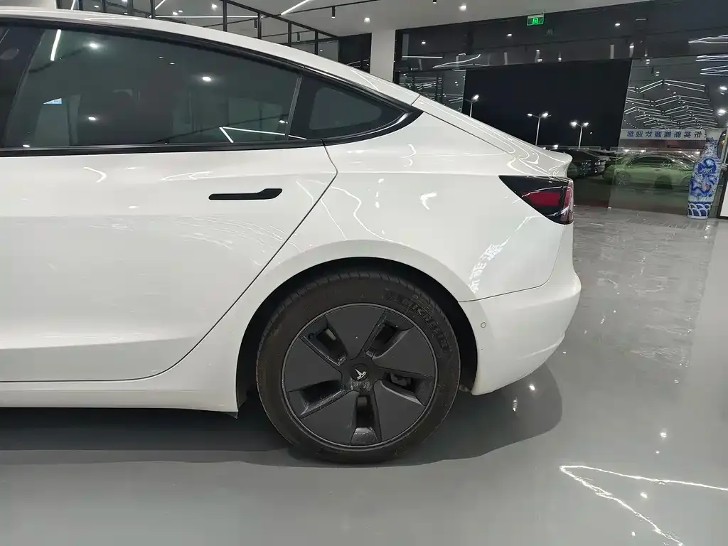 Tesla Model 3 2021 из CN, фото 7