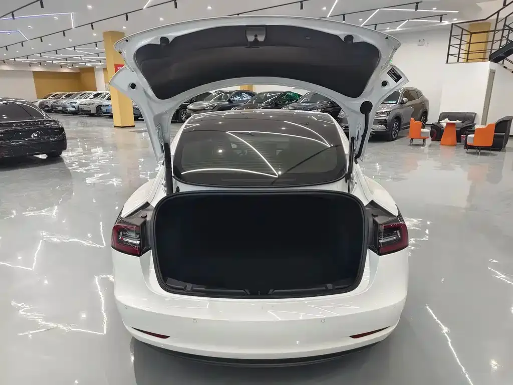 Tesla Model 3 2021 из CN, фото 8