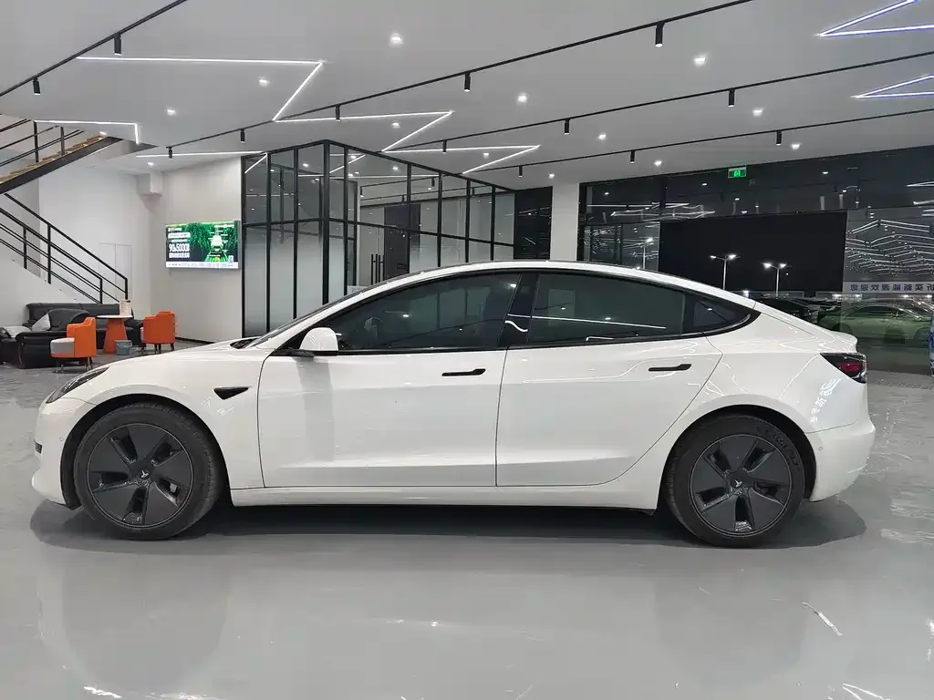 Tesla Model 3 2021 из CN, фото 9