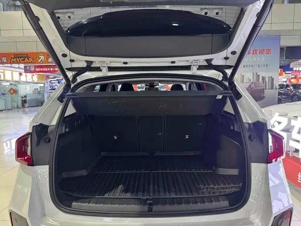 BMW iX1 2024 из CN, фото 9