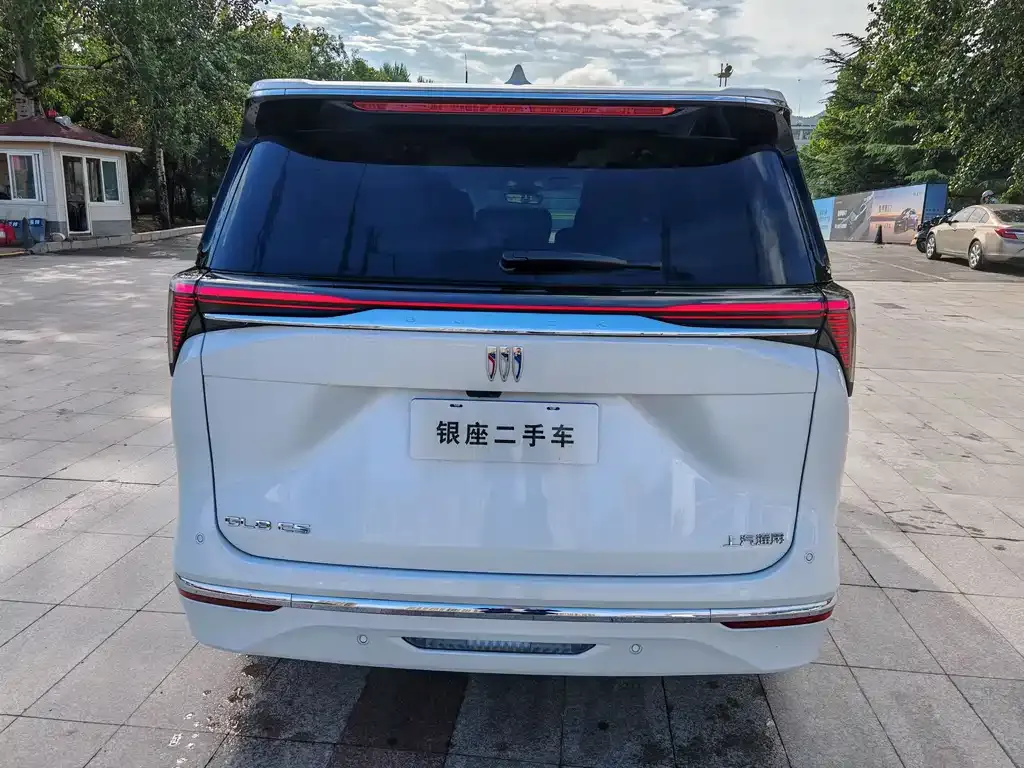 Buick GL8 2024 из CN, фото 4