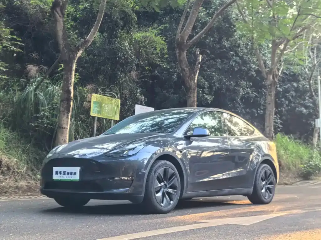 Tesla Model Y 2024 из CN, фото 1
